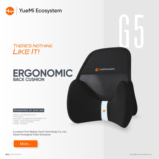 G5-Yuemi Ergonomic Back Cushion